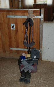 Putzkoffer Stiefel Halfter Pferd