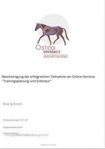 Trainingsplanung und Exterieuranalyse