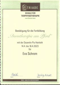 Dorntherapie 1 Dorntherapie 1
