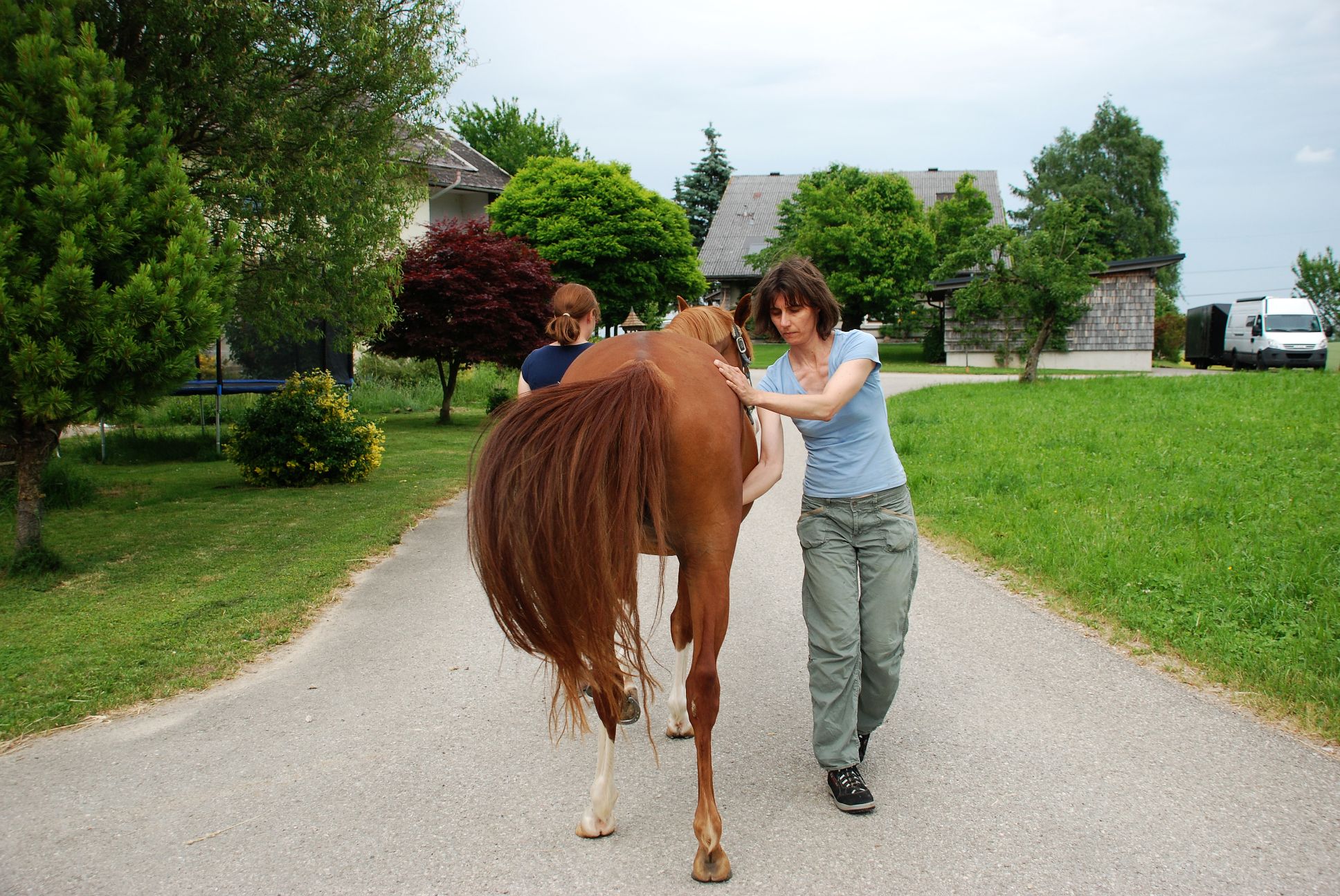 Dorntherapie Knie Dorntherapie Knie