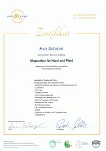 Akupunktur Zertifikat Akupunktur Zertifikat