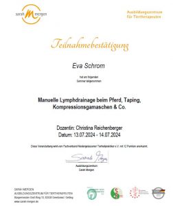 Lymphdrainage Zertifikat Lymphdrainage Zertifikat